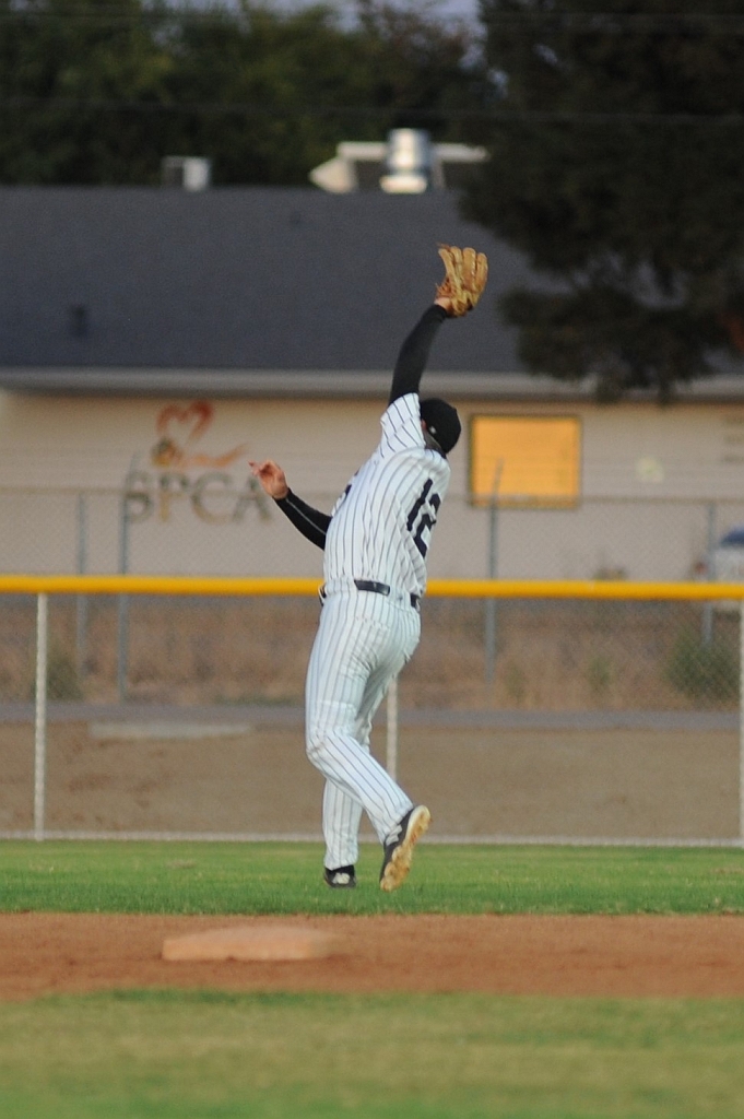 Seals_2019-09-19 (301).JPG - (c)2010 DeVetter